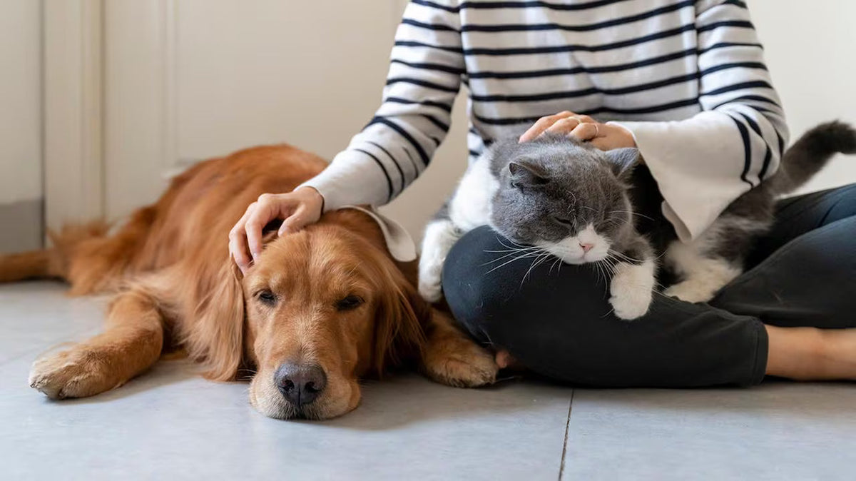 Care